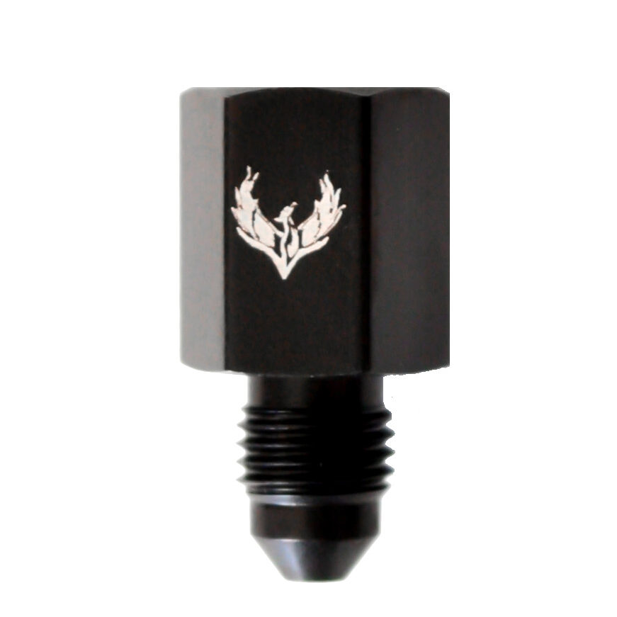 AN Male to NPT Female Fittings -03 | 1/4 NPT